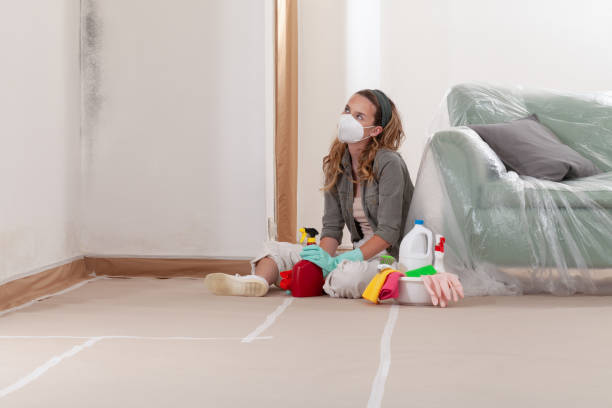 Reliable Black Mold Remediation contractor in Roseland, FL by 24 Hour Mold Removal